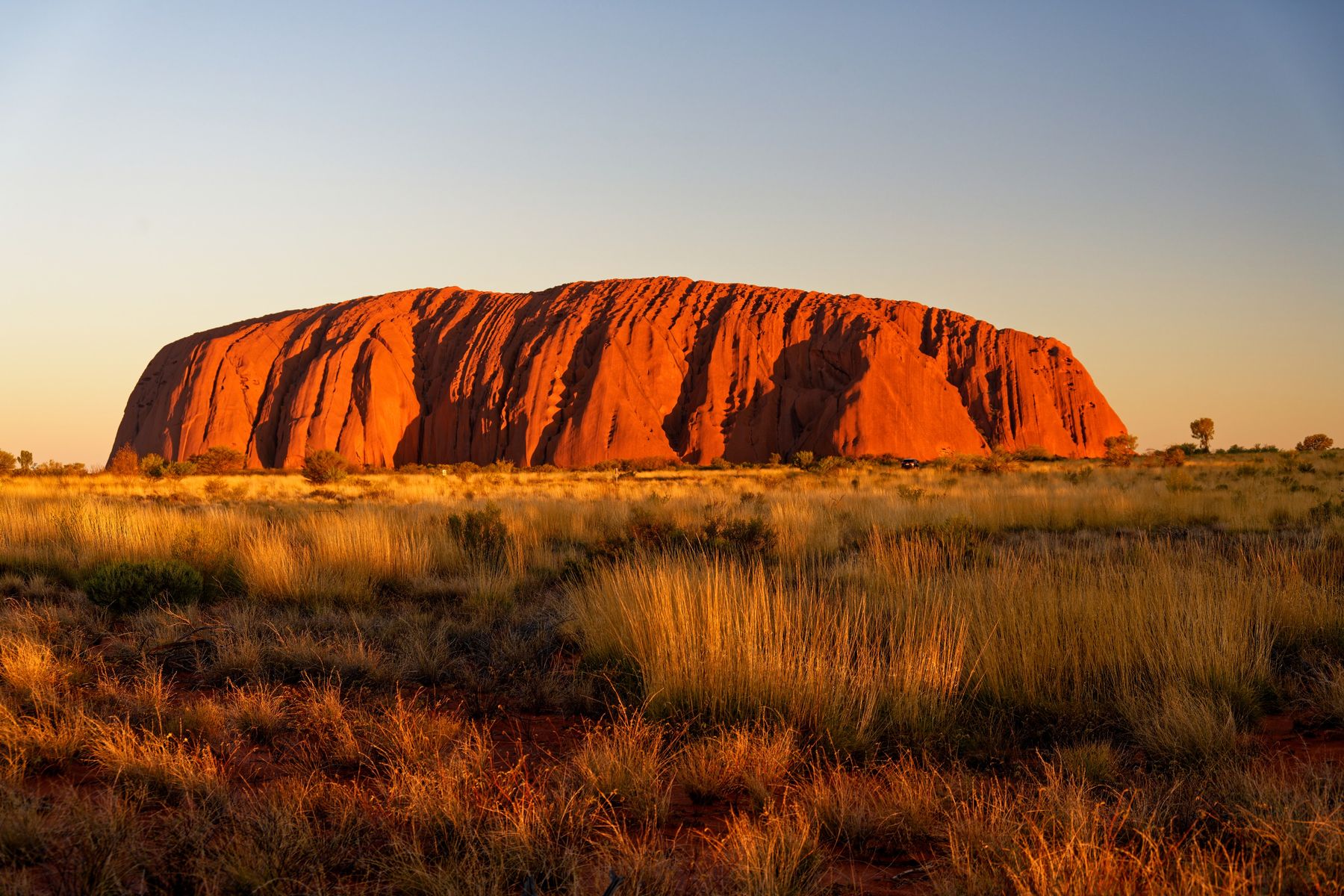Uluru glowing red at sunset in the Australian outback